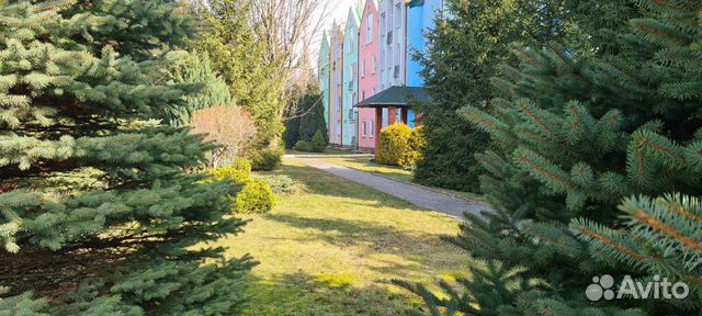 Забронировать квартиру в Светлогорск (Калининградская область)