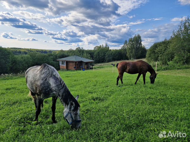 Забронировать квартиру в Петровское (Ярославская область)