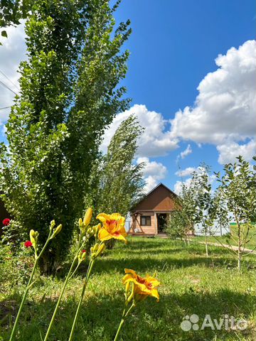 Забронировать квартиру в Илек (Оренбургская область)