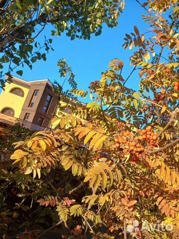 Забронировать квартиру в Девица (Воронежская область)