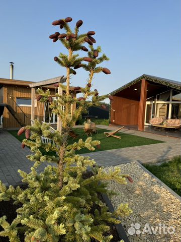 Забронировать квартиру в Камское Устье (Татарстан)