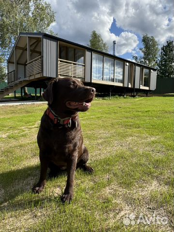 Забронировать квартиру в Новосиньково (Московская область)