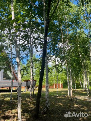 Забронировать квартиру в Сокур (Новосибирская область)